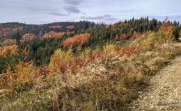 IMG_20161024_124716_HDR
