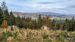 IMG_20161024_124824_HDR