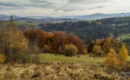 IMG_20161024_131928_HDR