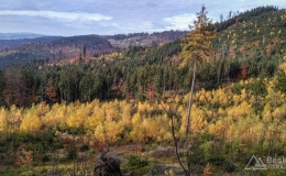 IMG_20161024_133926_HDR