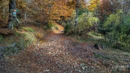 IMG_20161024_140126_HDR