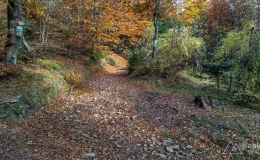 IMG_20161024_140126_HDR