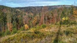 IMG_20161024_140618_HDR