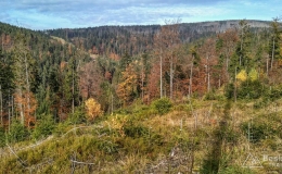 IMG_20161024_140618_HDR