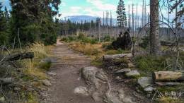 IMG_20161024_150516_HDR