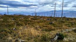 IMG_20161024_151032_HDR