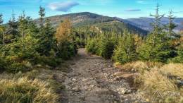 IMG_20161024_153239_HDR