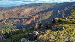 IMG_20161024_153848_HDR