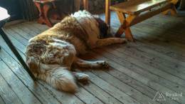 IMG_20161024_162841_HDR