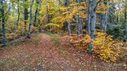 IMG_20161025_104823_HDR