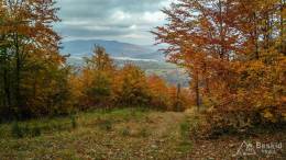 IMG_20161025_104849_HDR