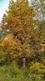 IMG_20161025_111618_HDR