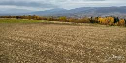 IMG_20161025_112247_HDR