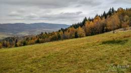 IMG_20161025_112415_HDR