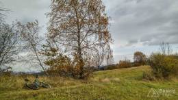 IMG_20161025_114010_HDR