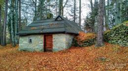 IMG_20161105_143614_HDR kopia