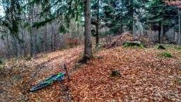 IMG_20161105_143702_HDR kopia