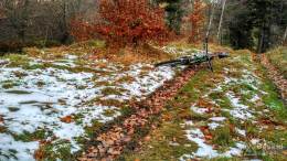 IMG_20161105_145246_HDR kopia