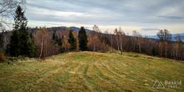 IMG_20161105_145501_HDR kopia