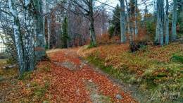 IMG_20161105_145534_HDR kopia