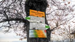 IMG_20161105_152839_HDR kopia