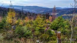 IMG_20161105_154300_HDR kopia