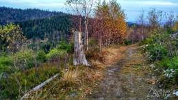 IMG_20161105_154401_HDR kopia