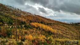 IMG_20161107_134033_HDR kopia