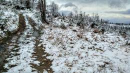 IMG_20161107_141358_HDR kopia