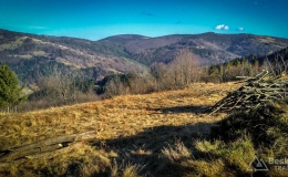 IMG_20161122_111508_HDR