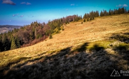 IMG_20161122_115418_HDR