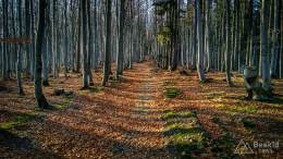 IMG_20161122_134605_HDR