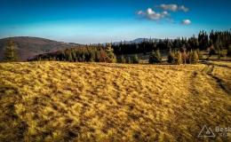 IMG_20161122_142818_HDR
