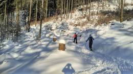 IMG_20161207_085920_HDR