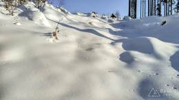 IMG_20161207_090034_HDR