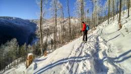 IMG_20161207_092544_HDR