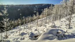 IMG_20161207_094231_HDR