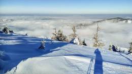 IMG_20161207_102933_HDR