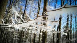 IMG_20161207_110120_HDR