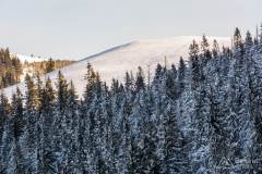 _DSC4265