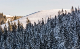 _DSC4265