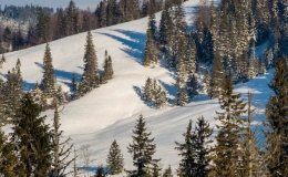 _DSC4269