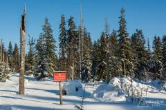 _DSC4286