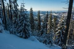 _DSC4294
