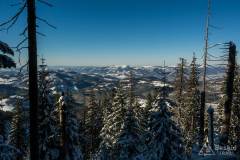 _DSC4295