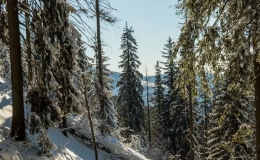 _DSC4315