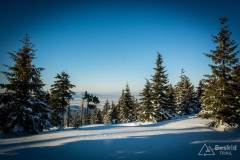 _DSC4323