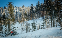 _DSC4326