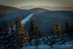 _DSC4338