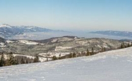 pano
